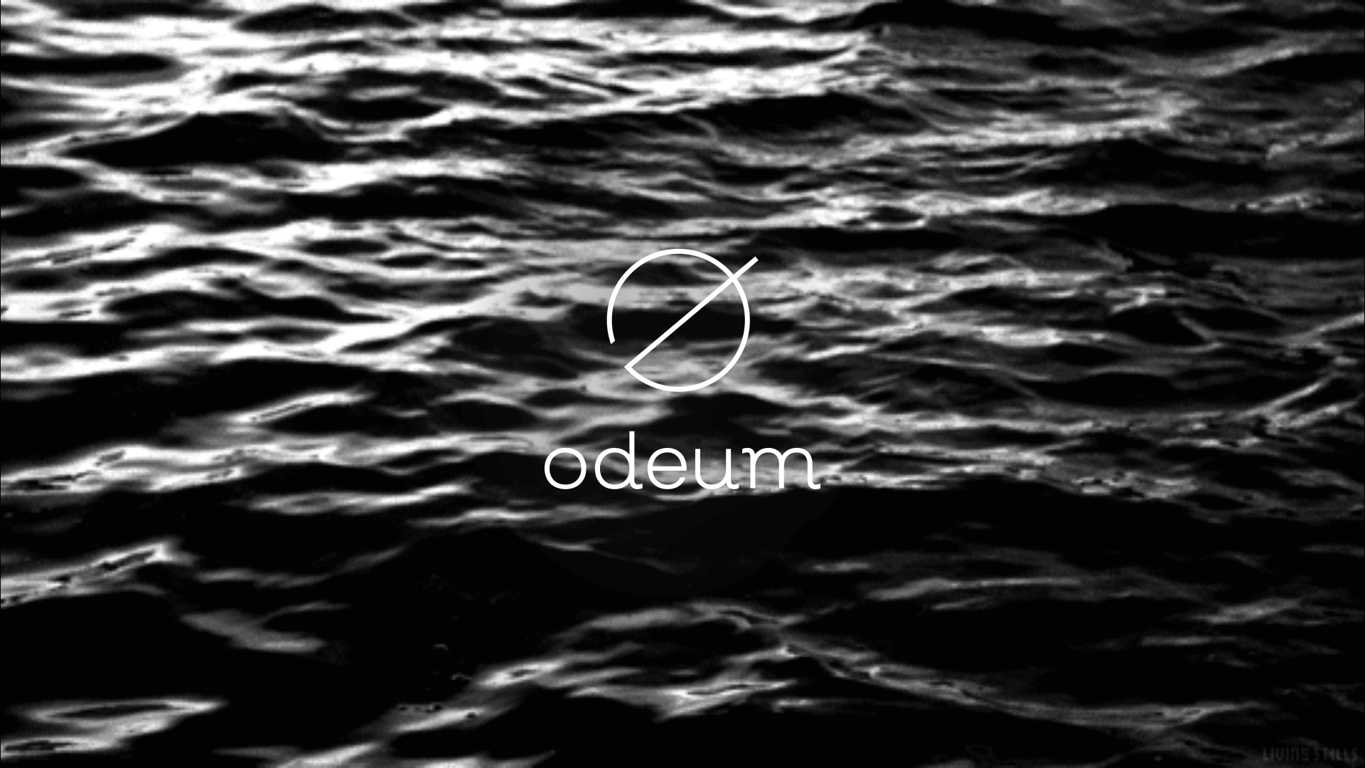 Odeum - Corporate Design | Manual | Realisation